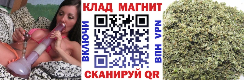 Виды наркотиков купить Няндома Гашиш  Кокаин  Мефедрон  Бошки Шишки 