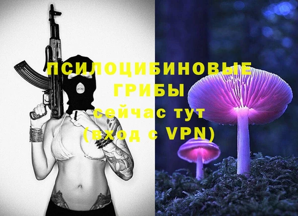 мдпв Нефтегорск